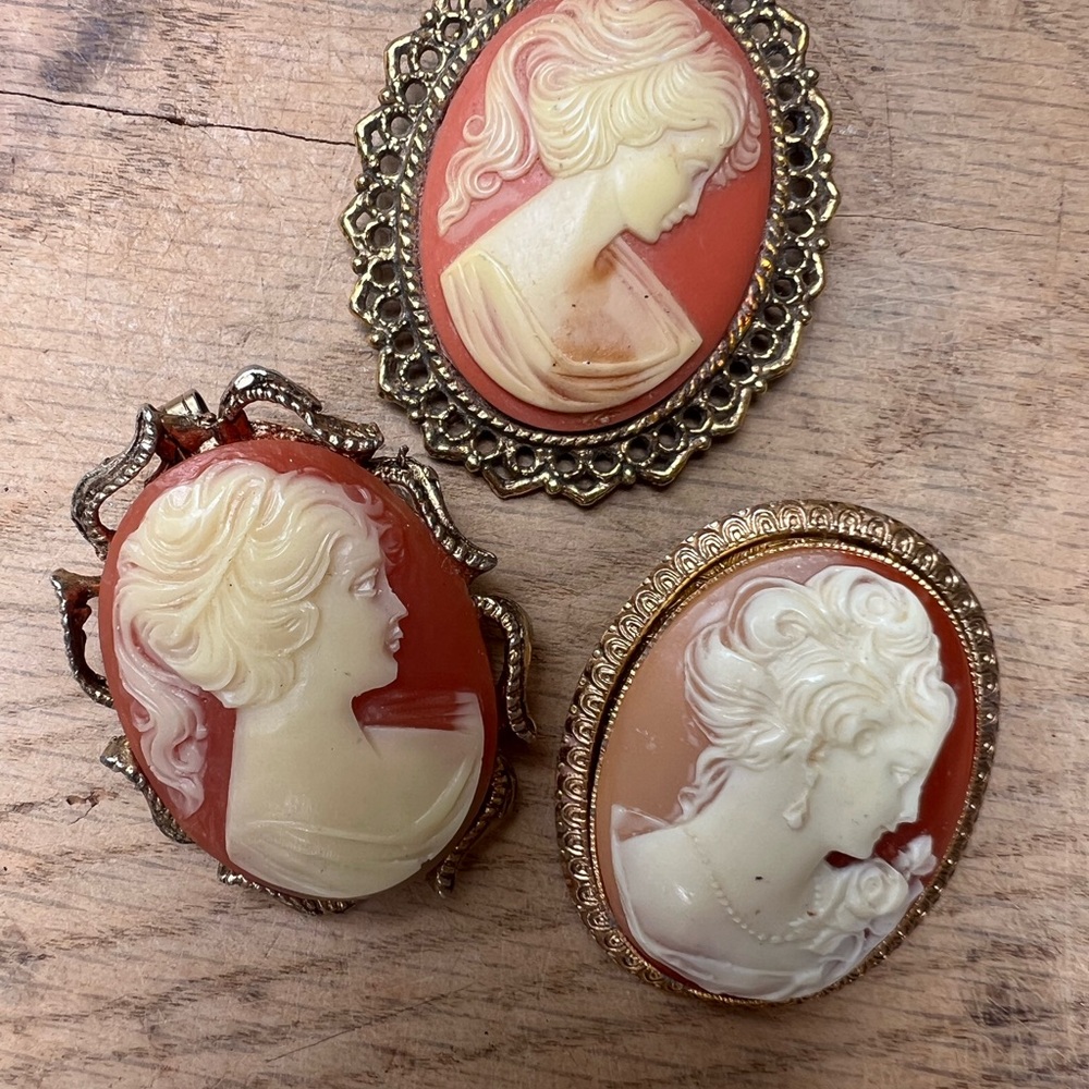 Vintage Victorian Cameo Brooch/Necklace Charm Set